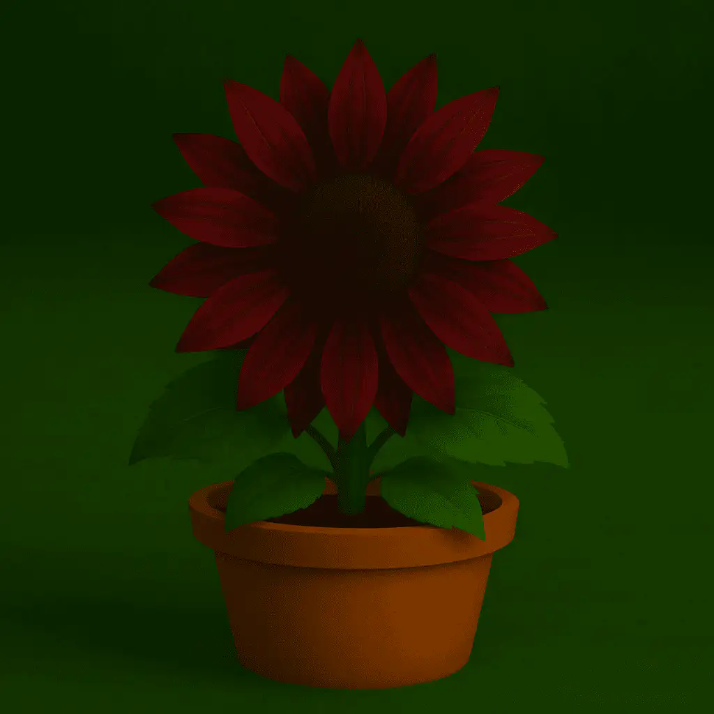 Moulin Rouge Sunflower